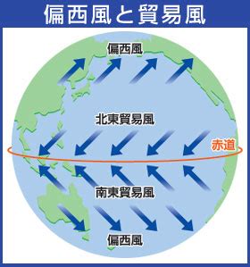 北半球 風|貿易風